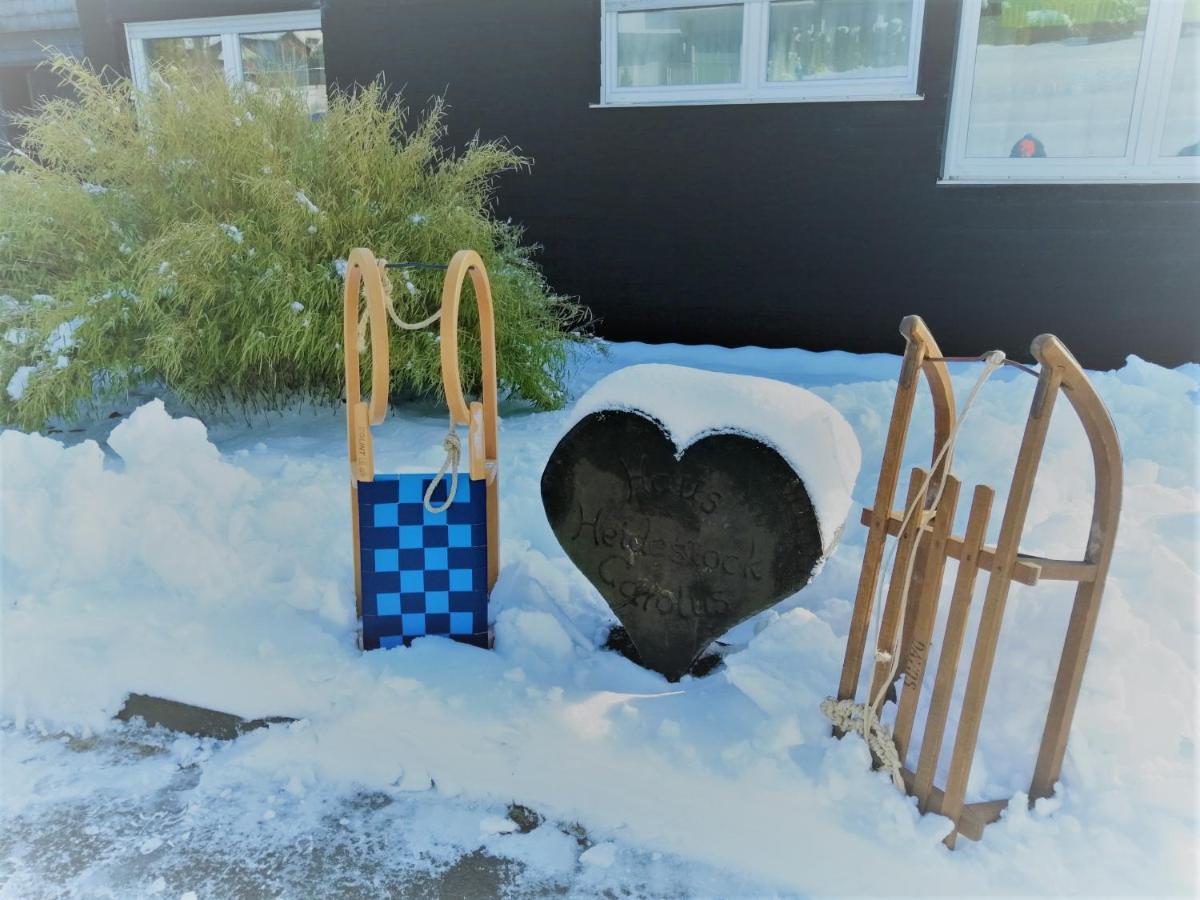 Bergchalet Heidestock ヴィリンゲン エクステリア 写真
